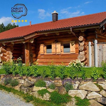 Chalet-Enzian-Bayerwald Arnbruck Luaran gambar