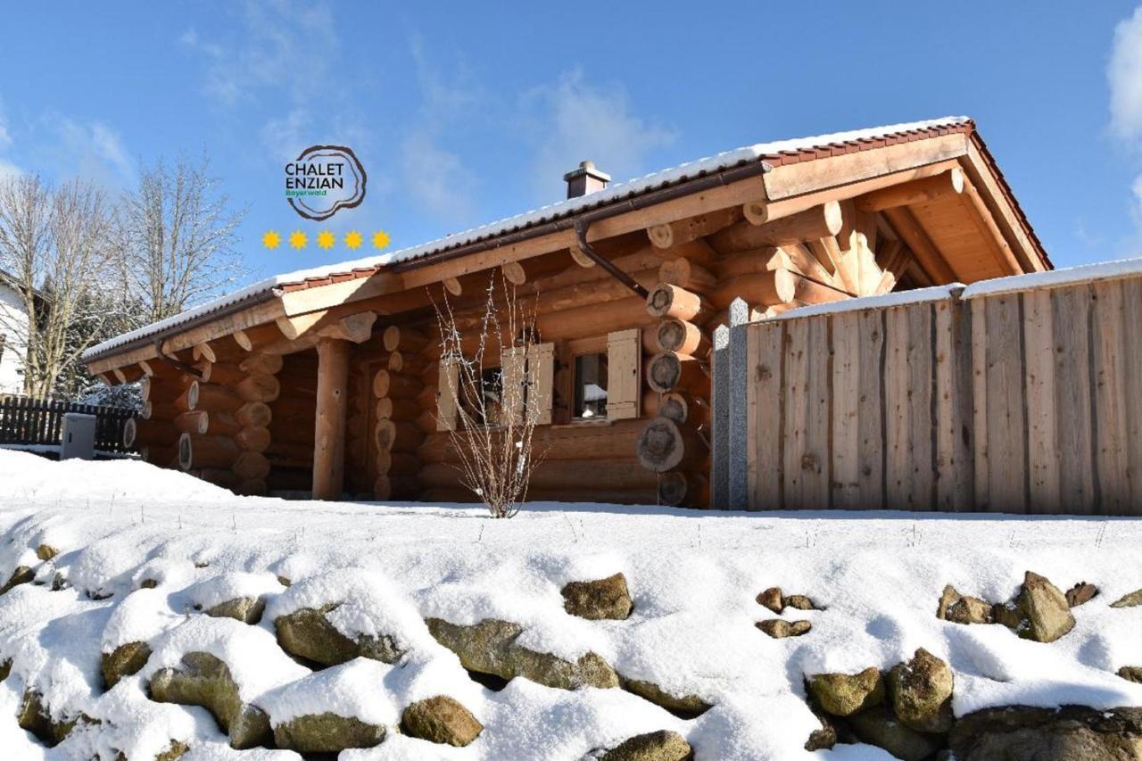 Chalet-Enzian-Bayerwald Arnbruck Luaran gambar